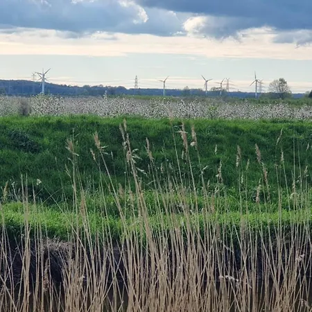 Apartment Luehe Loft - Direkt Am Wasser Im Alten Land Mittelnkirchen