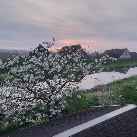 Luehe Loft - Direkt Am Wasser Im Alten Land * Mittelnkirchen